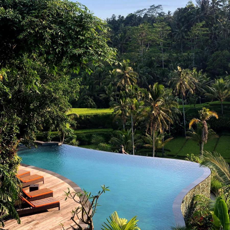 Suite Executive dengan Keuntungan Gratis