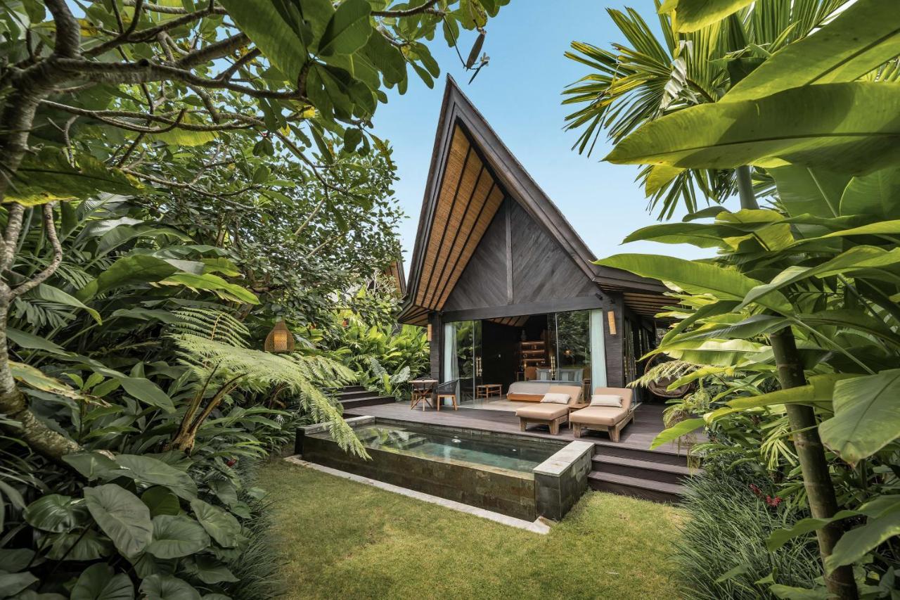 Premium Jabu Plunge Pool Daily Floating Afternoon Tea