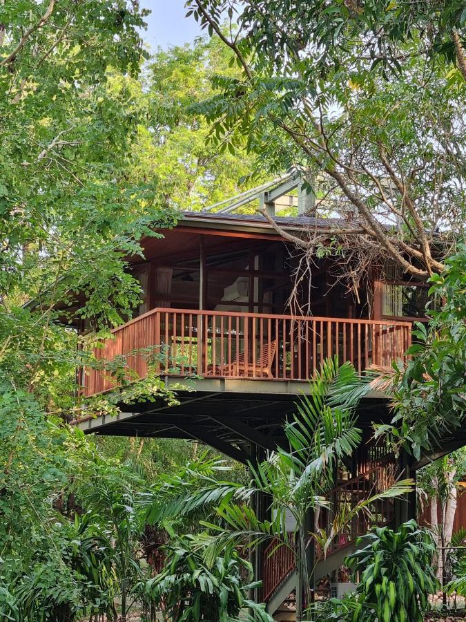 Treehouse Suite