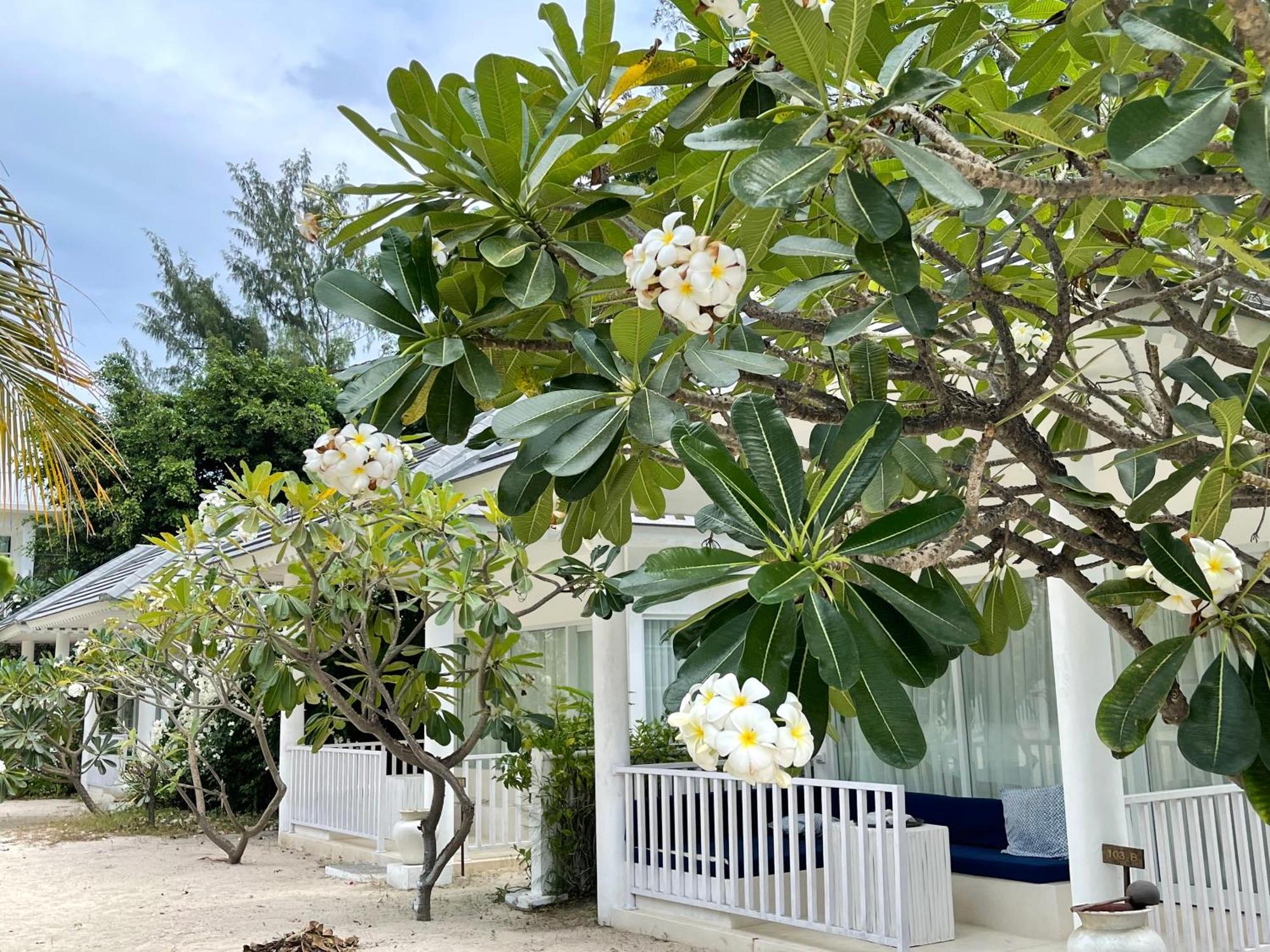 Beach Bungalow Nature View