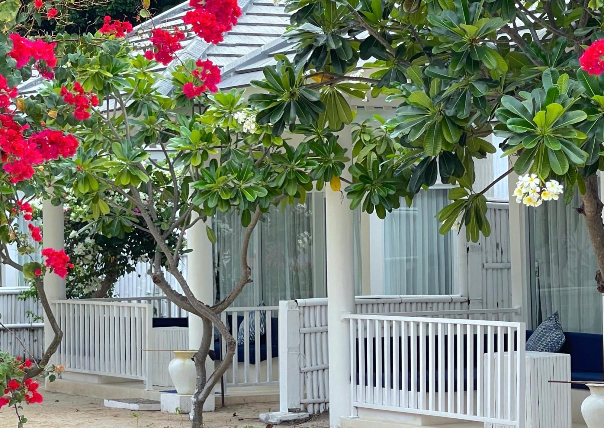 Beach Bungalow Nature View
