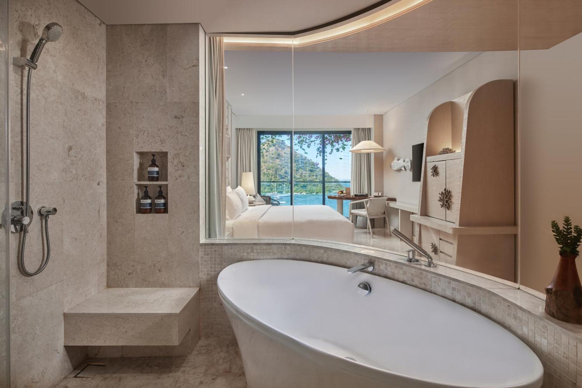 Deluxe Ocean View Room