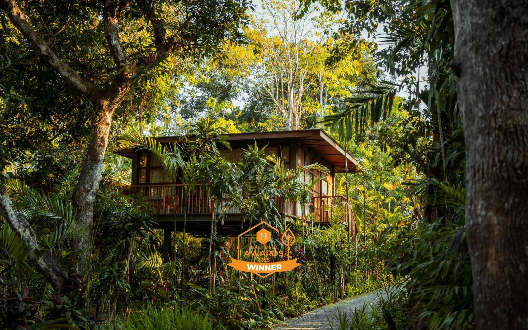 Treehouse Studio
