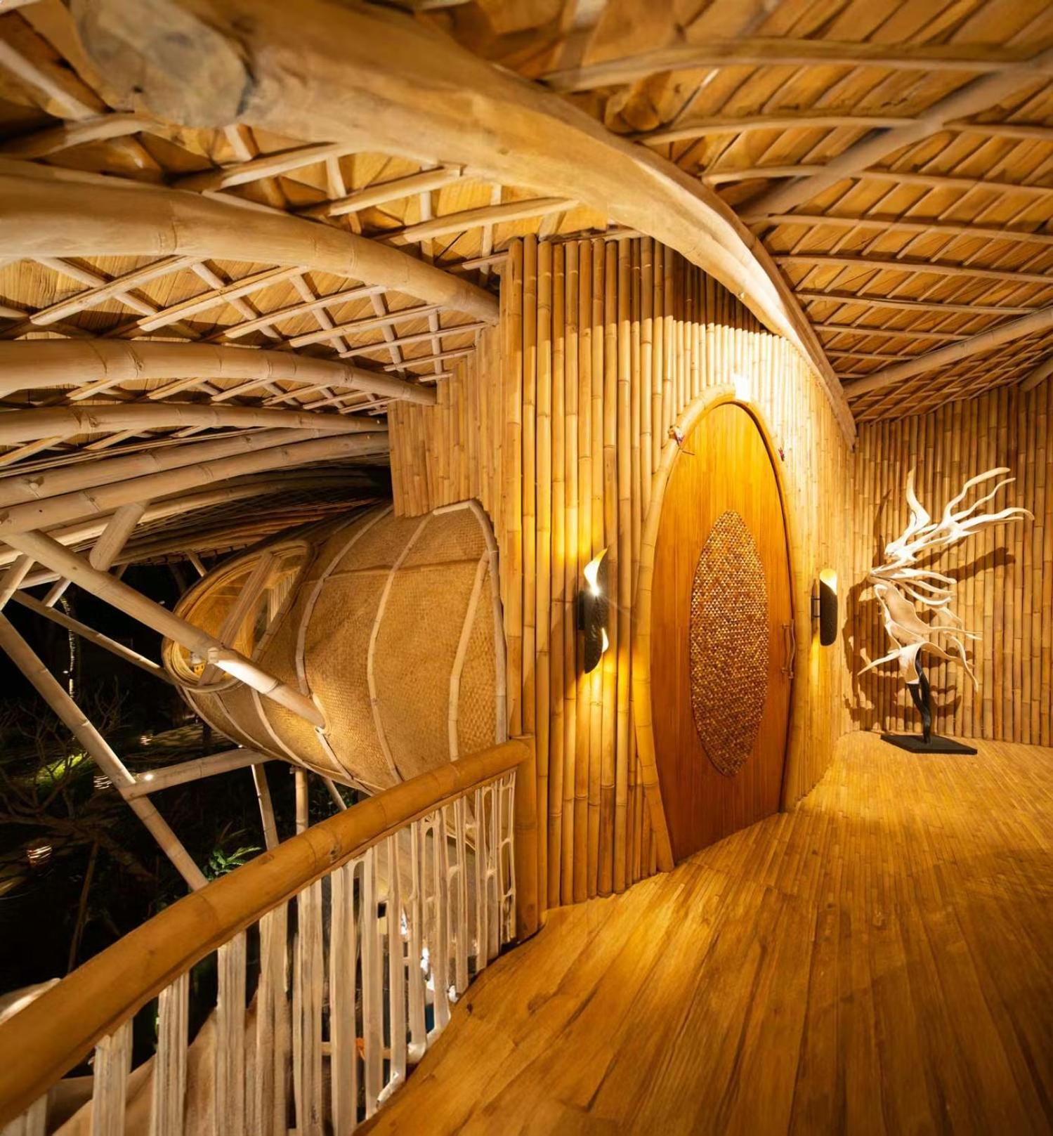 Cocoon Jungle