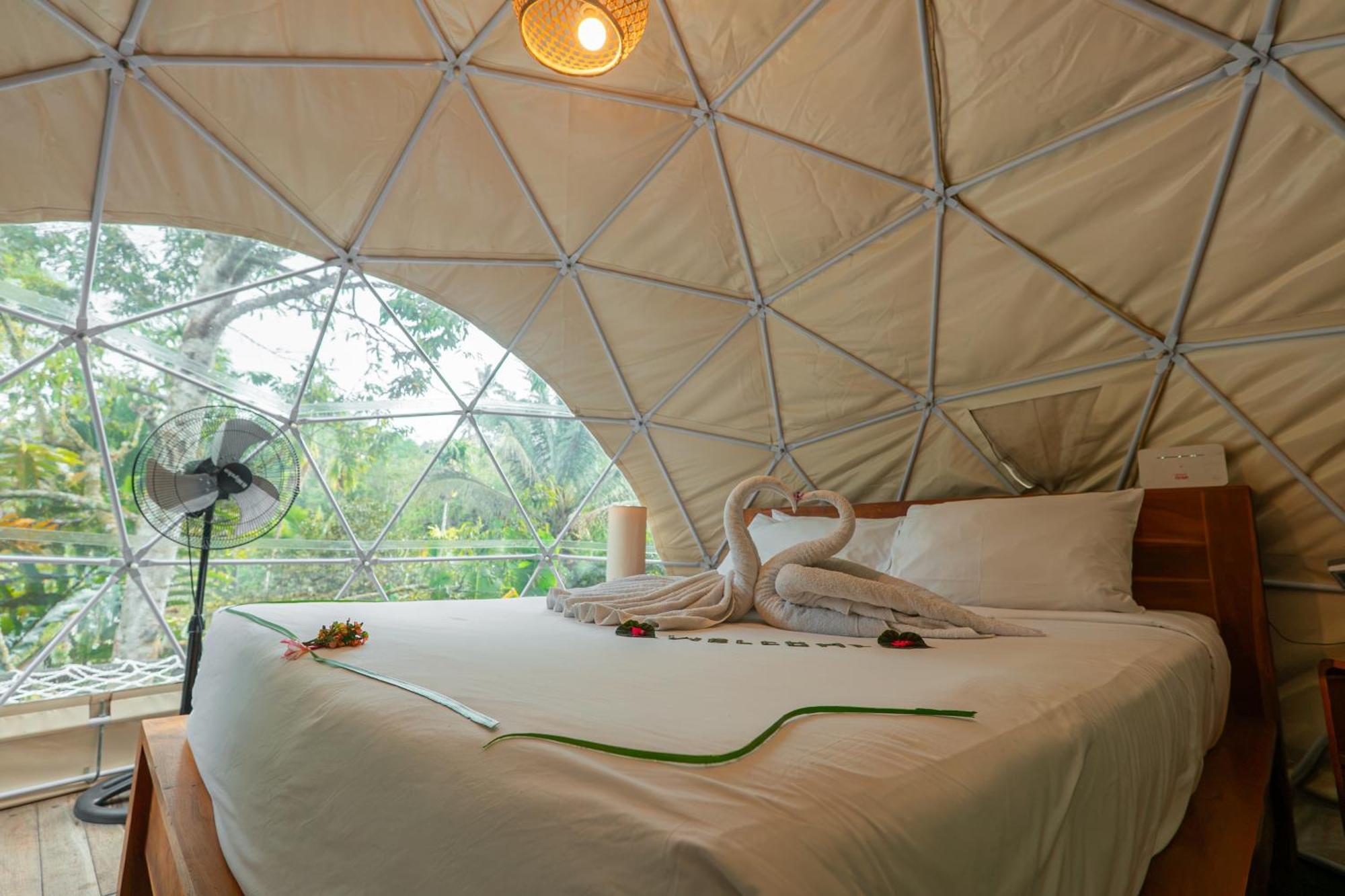 Dome Tent Hammock 1