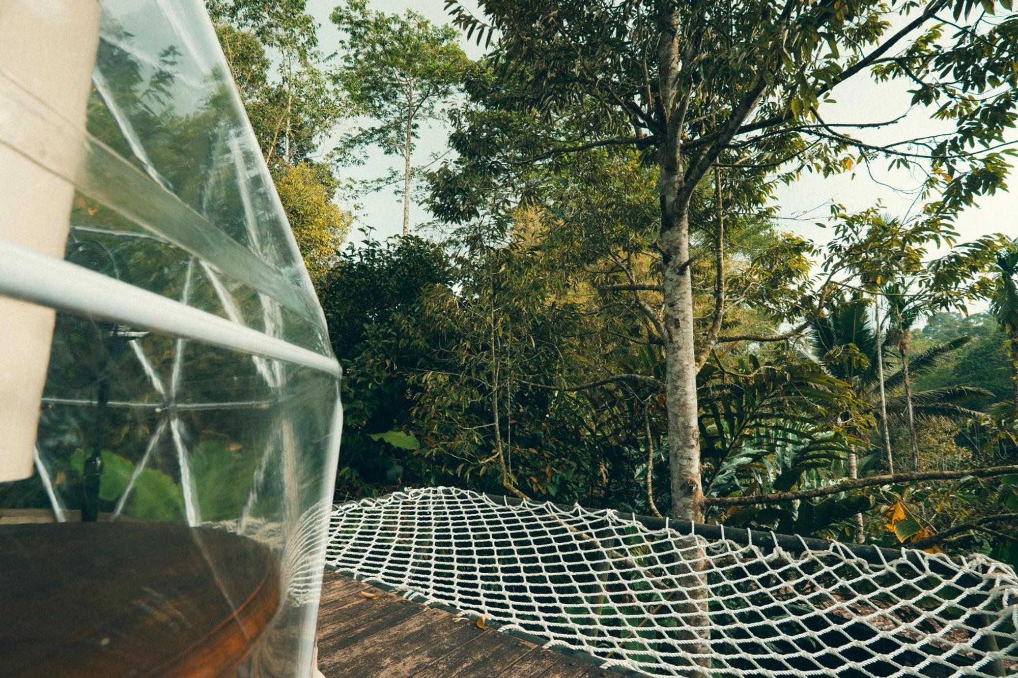 Dome Tent Hammock 1