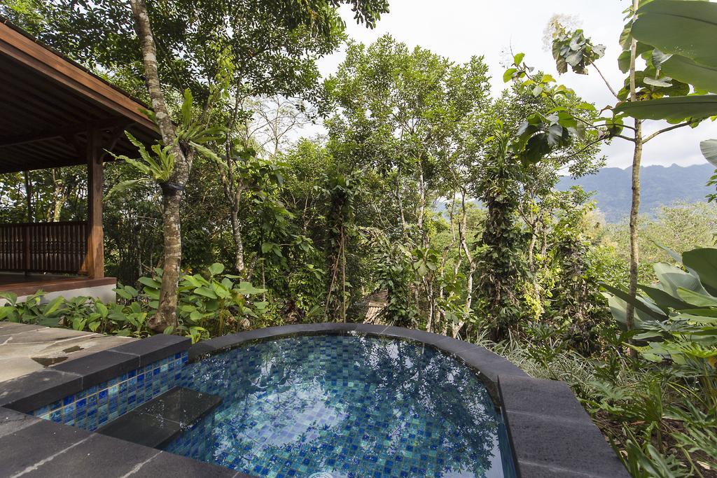 Garden Plunge Pool Villa,399672261:JPEG