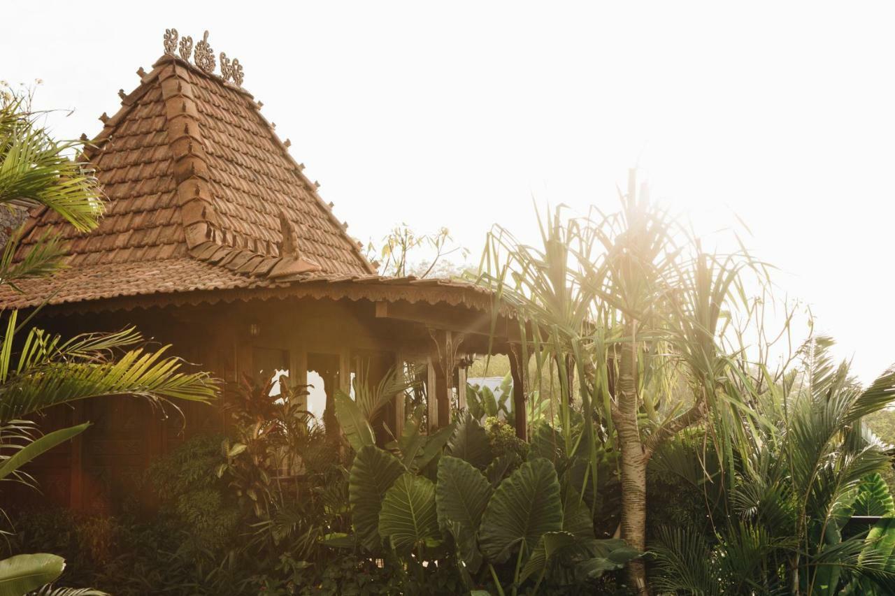 Romantic House