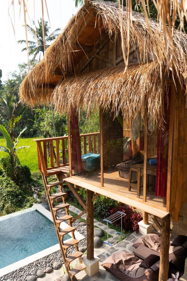 Double Room Pool View