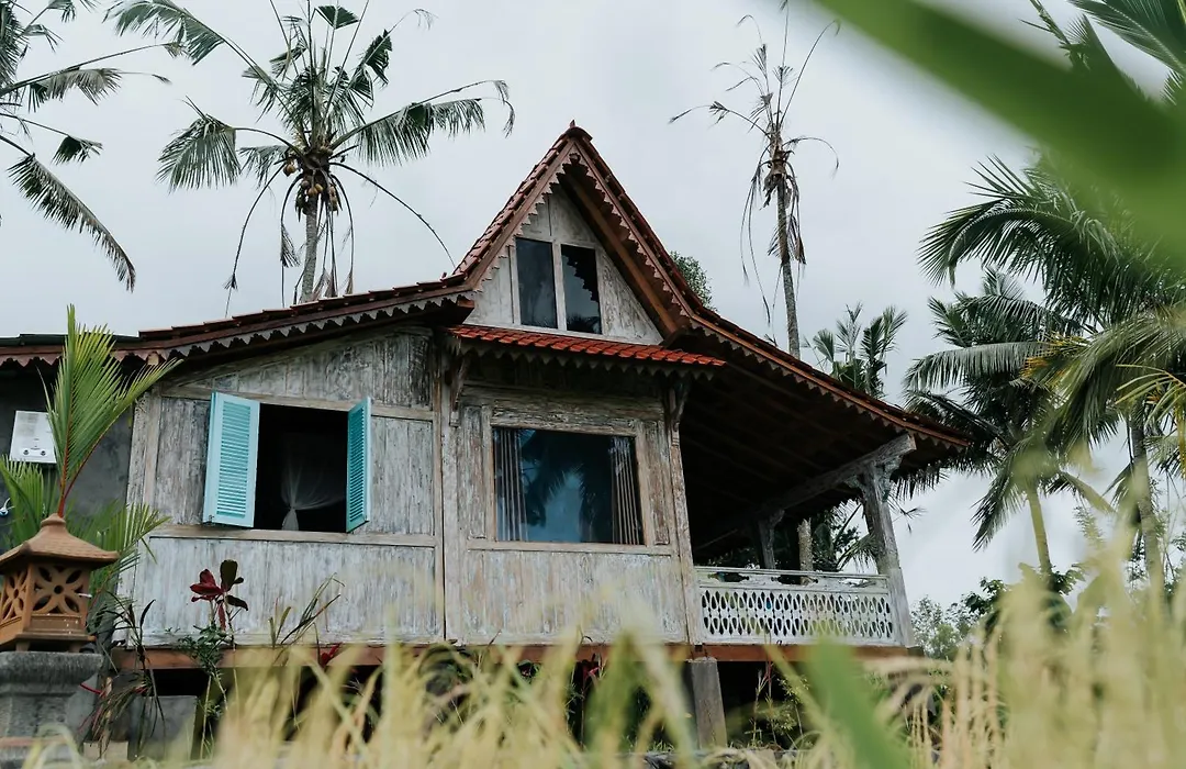 D'Ume Bendoel Homestay-1
