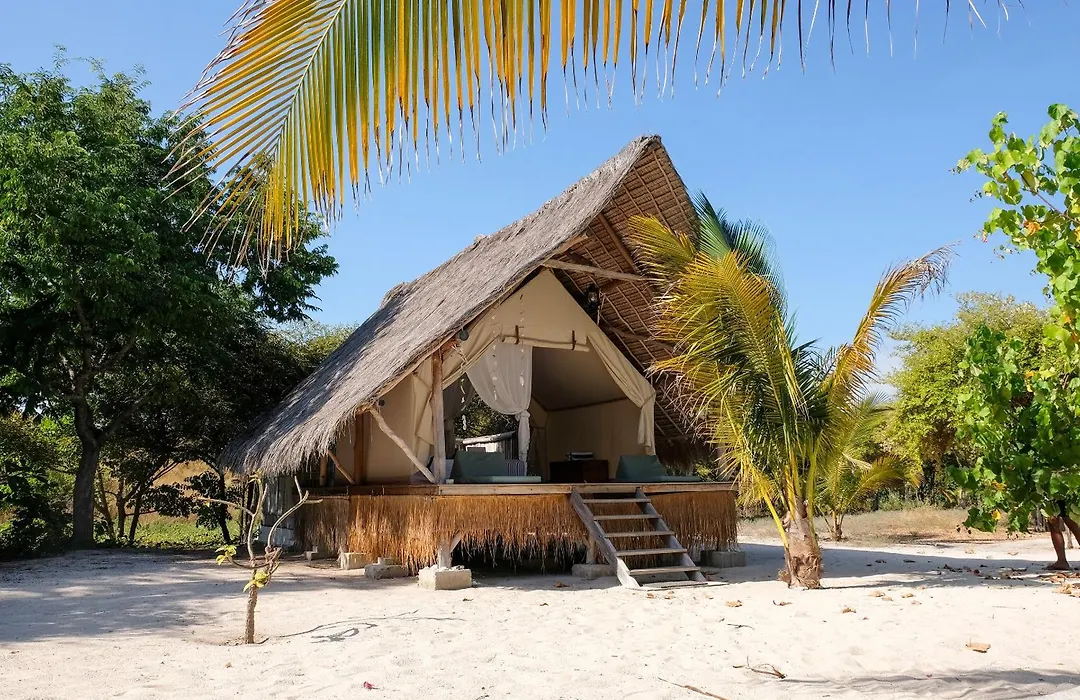Le Pirate Island - Adults Only-1