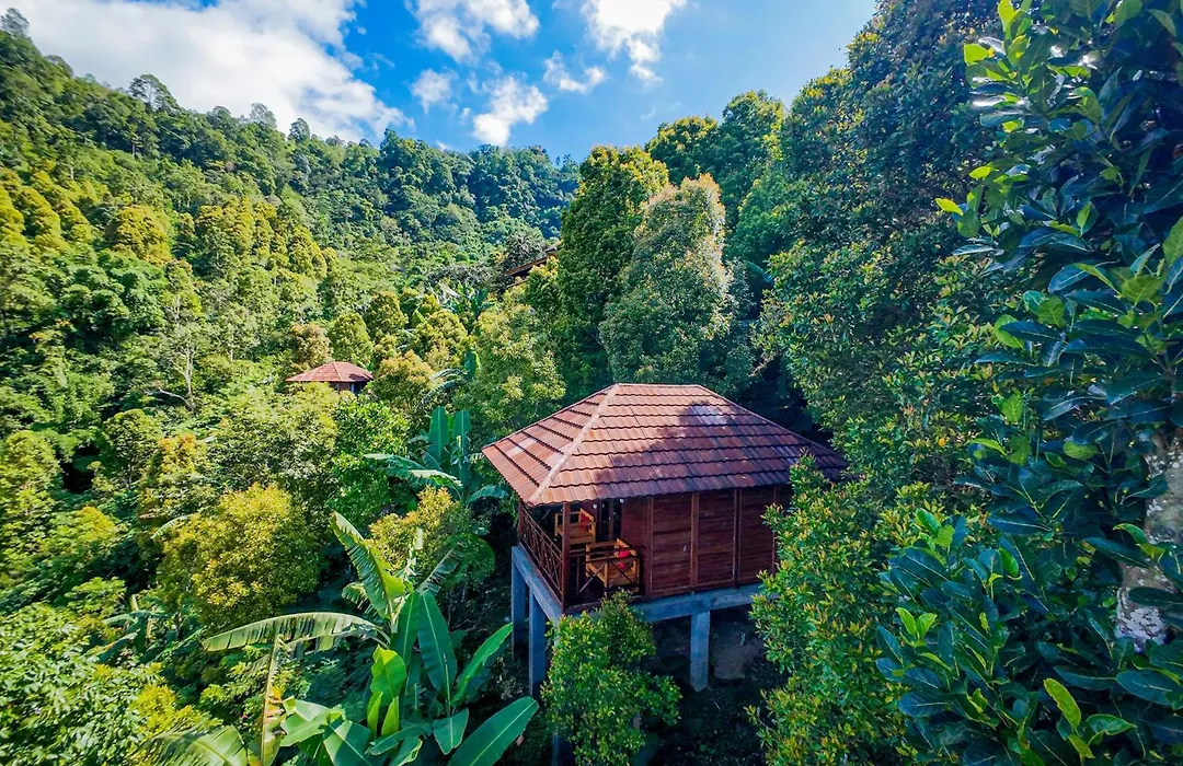 Munduk V View House-1