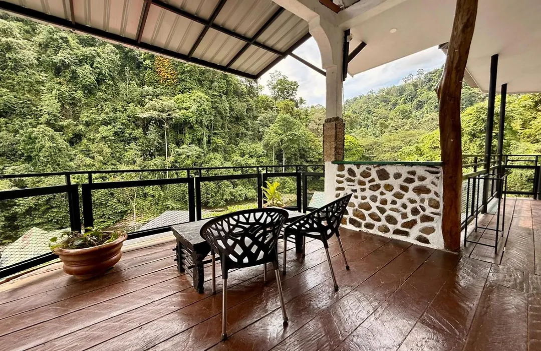 Jungle Inn Bukit lawang-1