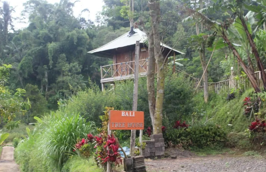 Bali Tree House Pelangi-1