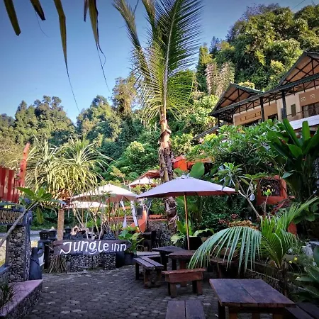 Jungle Inn Bukit lawang-2