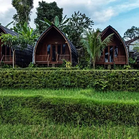 Omah Bapak Ijen Eco House-2