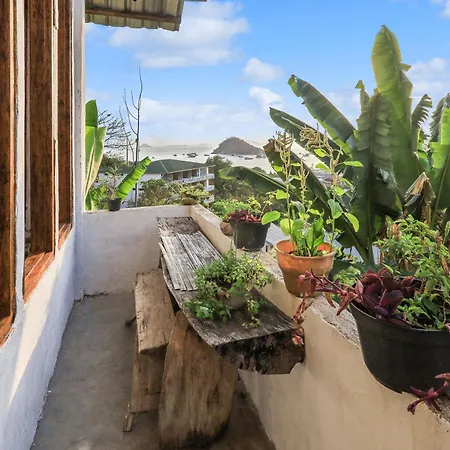 Palulu Garden Homestay-3