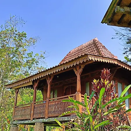 D'Ume Bendoel Homestay-2