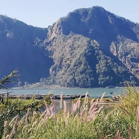 Volcano Living-2