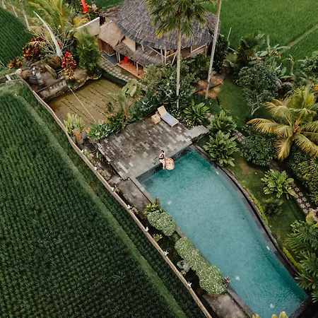 Padi Bali Retreat-2