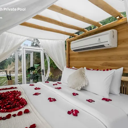 Bubble Hotel Bali Ubud - Adults Only-2