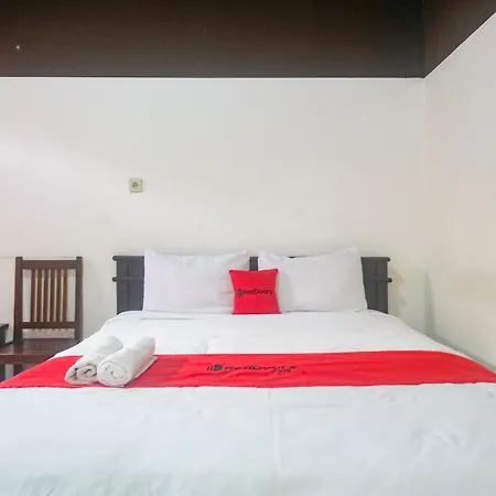 OYO 2519 Mayang Garini-3