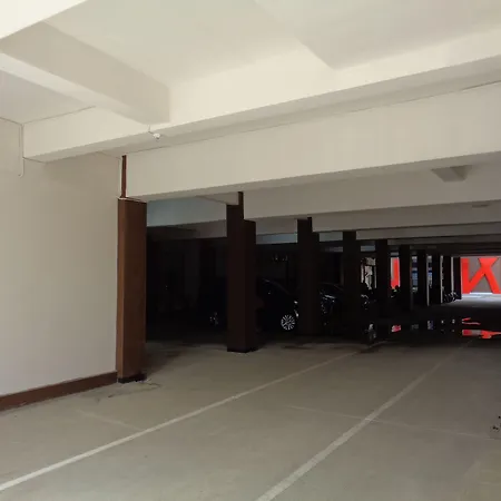 Grand Dian Hotel Slawi-2