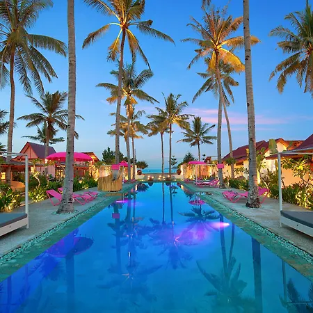 Pinkcoco Gili Air - Constant Surprises & For Cool Adults Only-2