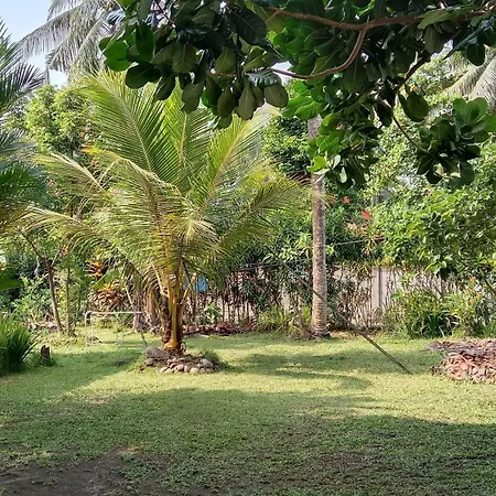 Susan Homestay-3