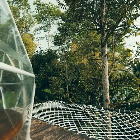 Bali Jungle Camping-2