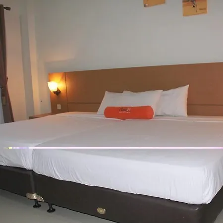 Hotel Paluvi-3
