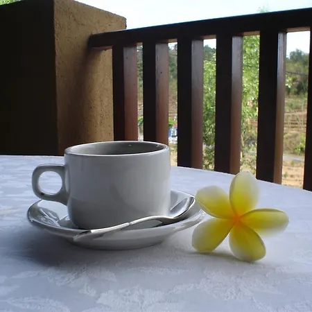 Swaloh Resort & Spa-3