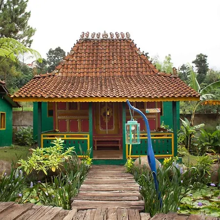 Jadul Village Resort-2