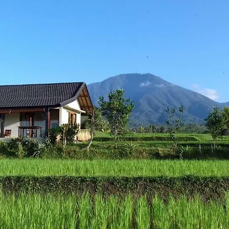 Kubu D'Ume Homestay-2