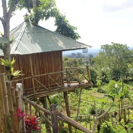 Bali Tree House Pelangi-2