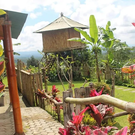 Bali Tree House Pelangi-3