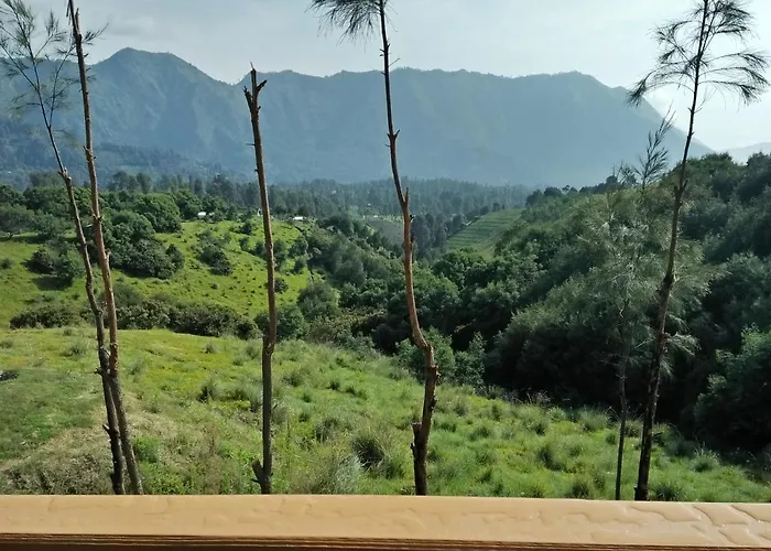 Lava View Lodge