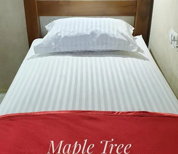 Maple Tree Homestay