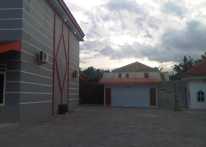 Arini 1