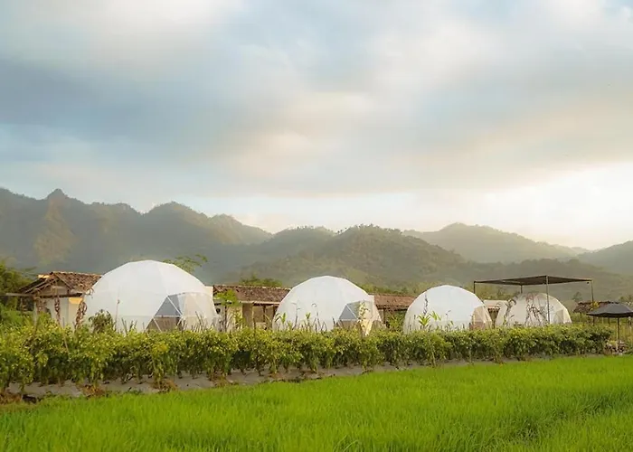 Borobudur Luxury Glamping