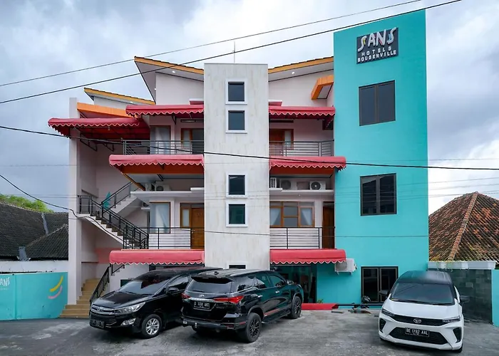 Sans Bougenville Lampung