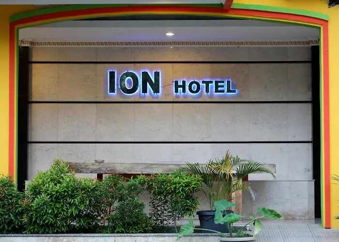 Ion Hotel