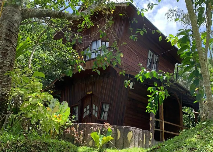 Canyon Jungle Stay