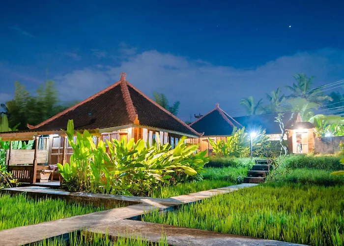 Ubud Sawah Scenery Villa And