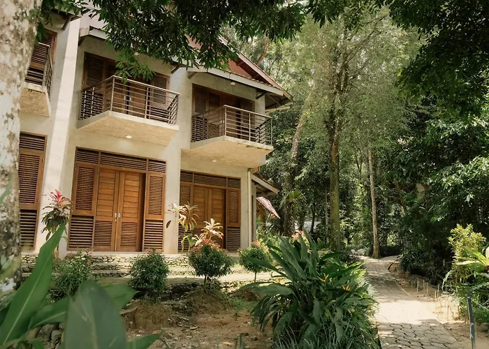 Ecolodge Bukit Lawang