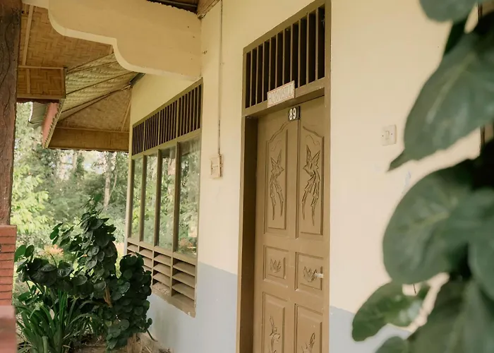 Ecolodge Bukit Lawang