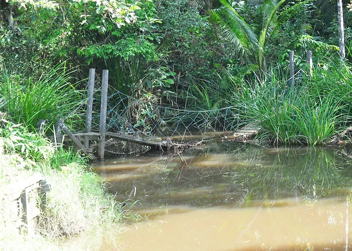 Samboja Lodge