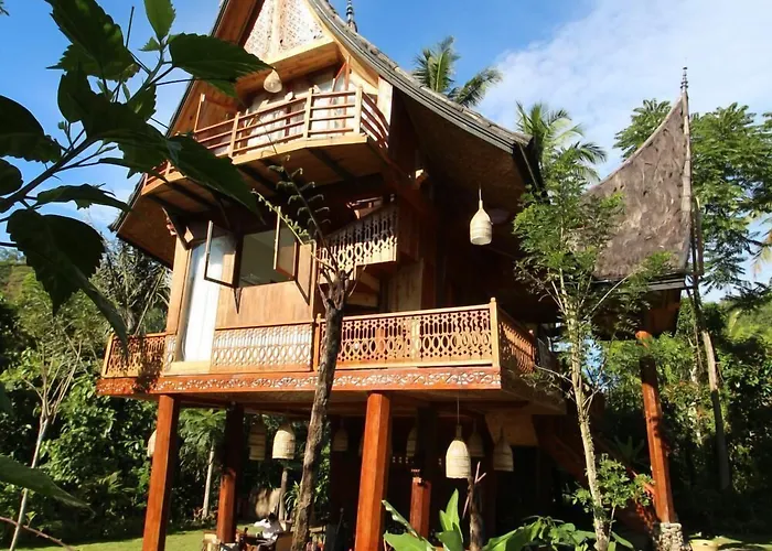 Padi Ecolodge