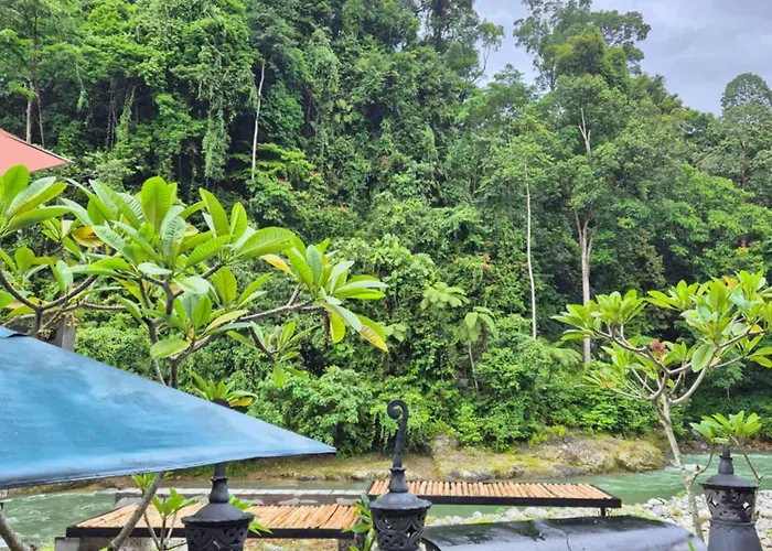Jungle Inn Bukit Lawang, Indonesia
