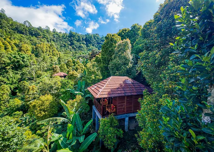 Munduk V View House